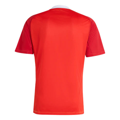Manto Flamengo Goleiro 3 Adidas 2025 - Fan Version
