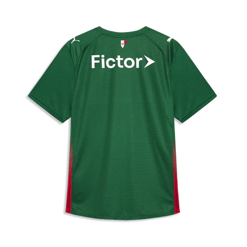Palmeiras 2026 I Home Jersey - Fan Version