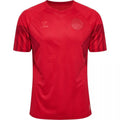 Denmark 22/23 I Home Jersey - Fan Version